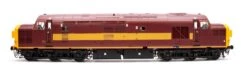 Class 37/0 (split Headcode) EW&S Red/Gold Unnumbered Diesel Locomotive -HORNBY Sales Store IMG 0376 a7177503 b6f8 434b a588 aa9224b5425c
