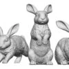 O Gauge Pets, Wildlife & Livestock - Rabbits - Pack Of 5 -HORNBY Sales Store Screenshot2024 04 30142809 019d390a c407 4e69 96d0 5de4b9137800
