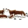 A2767 Woodland Scenics - O Gauge Hereford Cows -HORNBY Sales Store WA2767 A